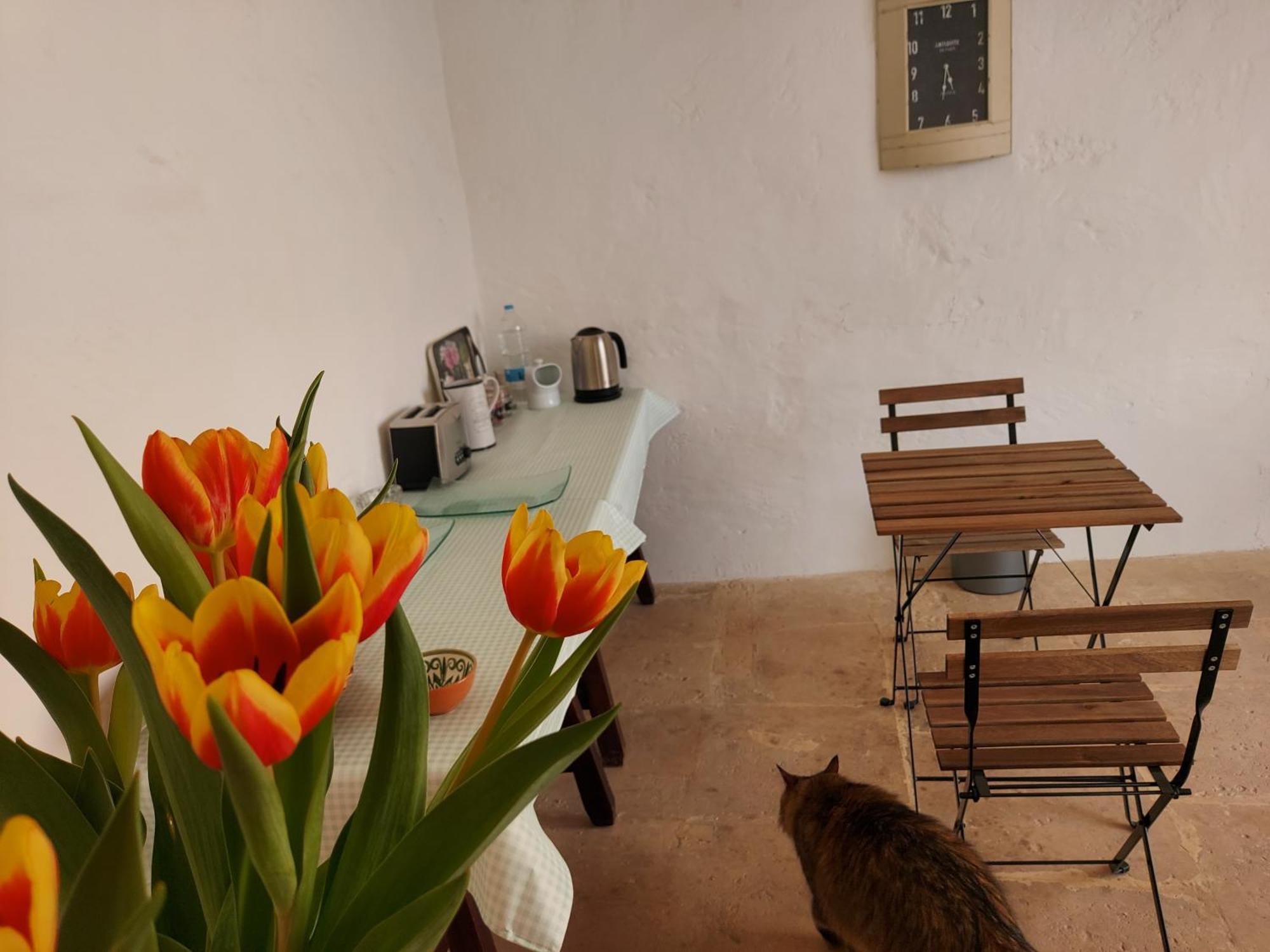 Razzett Warda B&B Għasri Kültér fotó